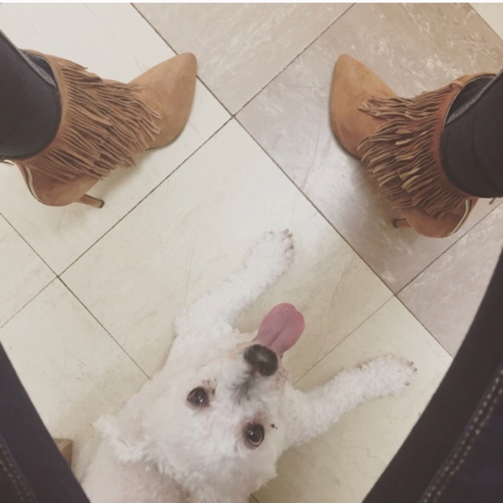 🦄 welcome to my closet ⭐️